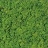 Декор Moss Glass RECT 300x600 Ceramika Color