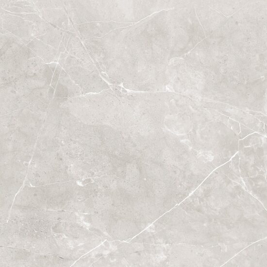 154927859-8bb51 Плитка керамогранітна Sanaa Grey POL 600x600 Raviraj