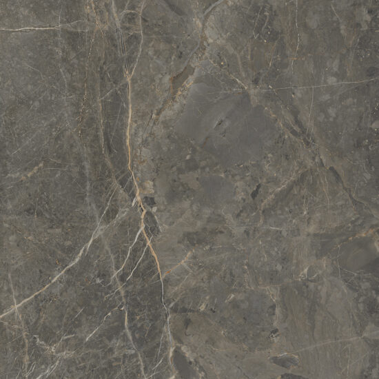 179651066-01aae Плитка керамогранітна SO7580 Stone Roots Коричневий RECT 600x600x8 Golden Tile