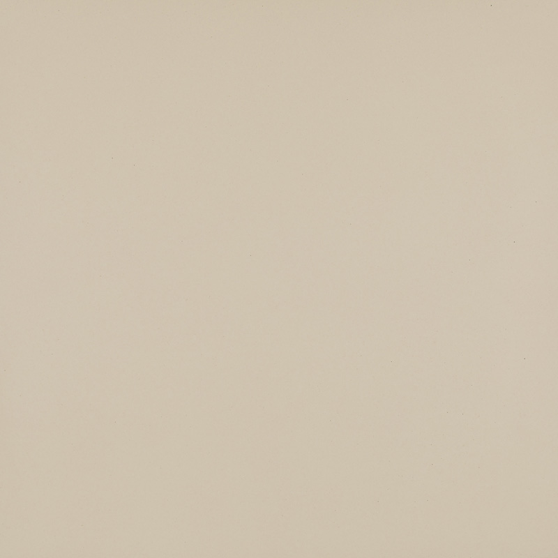 Плитка підлогова Modernizm Bianco RECT MAT 59,8x59,8 код 5108 Ceramika Paradyz