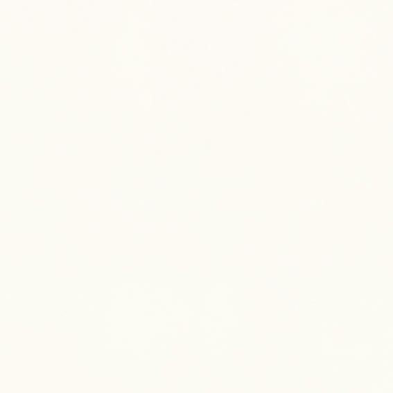 Плитка керамогранітна Alameda-R Nacar RECT 200x200x8,5 Vives