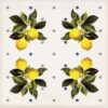 Декор CSAGIMXL20 Vita Giardino Bianco Mix Luc 200x200x10 Sant'agostino