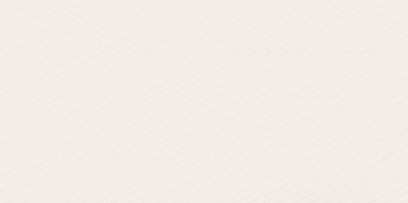 Плитка стінова Feelings Bianco Dekor RECT 298x598x9 Paradyz