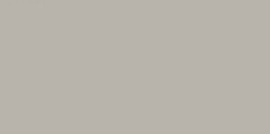 Плитка стінова Neve Grys RECT MAT 29,8x59,8 код 7501 Ceramika Paradyz