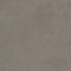 Плитка керамогранітна Select Brown 2.0 RECT 600x600x20 StarGres