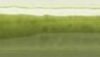 Фриз Torelo Calabria Pistacho 20x150 Mainzu