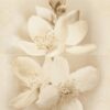 Декор Diana Flower 400x500x8 Cersanit