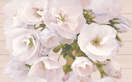 36669253-ebd19 Декор Carmel Flower 250x400 Cersanit