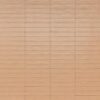 Плитка стінова RCGC Wish Petal Semimatt 53x300 Ragno