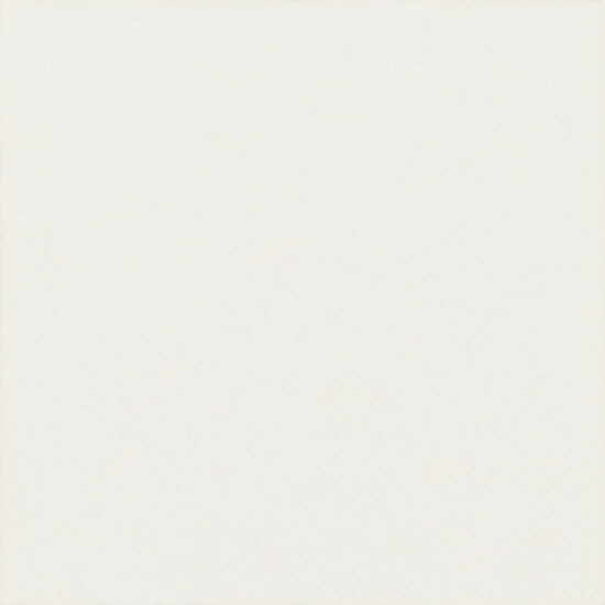 Декор Modern Bianco Taco MAT 4,8x4,8 код 3850 Ceramika Paradyz
