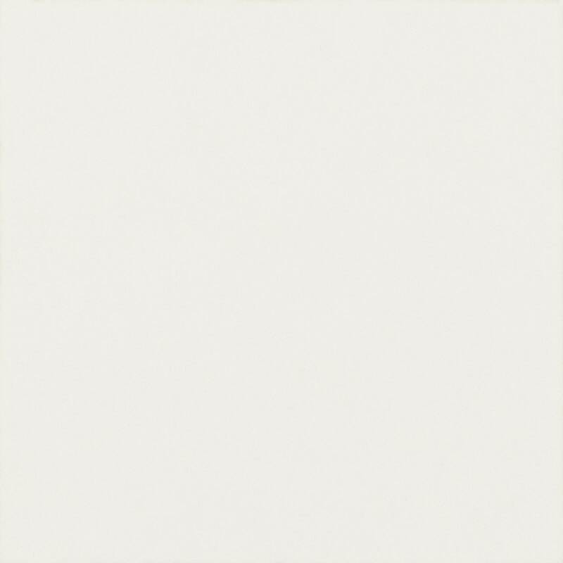 Декор Modern Bianco Taco MAT 4,8x4,8 код 3850 Ceramika Paradyz