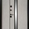 Двері для будинку 720.1/0.1#9 Колекція "ТИП 16" від Magda doors