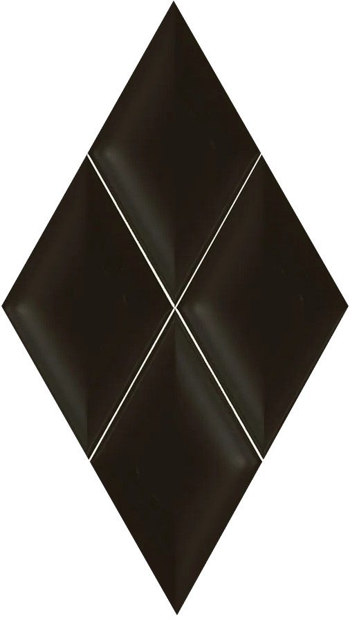 TABU NEGRO 56х32.5 (плитка настінна)