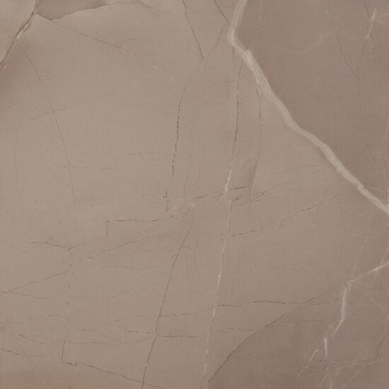 HyperFocal: 0 PASSION LUX 60 TAUPE 60x60 (плитка для підлоги і стін) B37