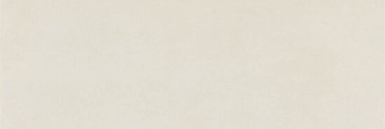 TYPE WHITE 30x90 (плитка настінна)