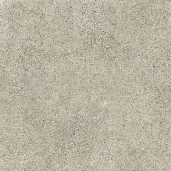navara42499 DEEP COLORI ASH NAT RET 99653 80x80 (плитка для підлоги і стін)
