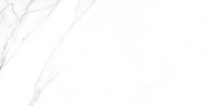 CALACATTA WHITE POLISHED 60x120 (плитка для підлоги і стін)