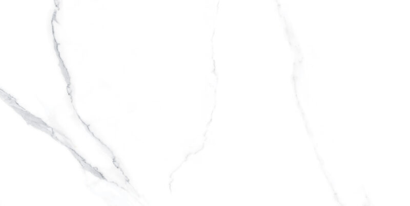 CALACATTA WHITE POLISHED 60x120 (плитка для підлоги і стін)