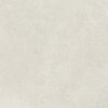 SHELLSTONE WHITE 60x60 (плитка для підлоги і стін) B35
