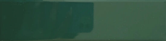 DUST PINE GLOSS 5х20 (плитка настінна) 03E5071