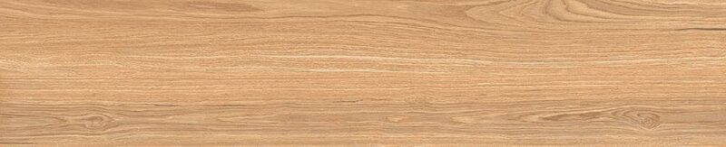 QUERCIA HONEY NAT+GLOSSY 24х120 (плитка для підлоги і стін) 00Y2C40