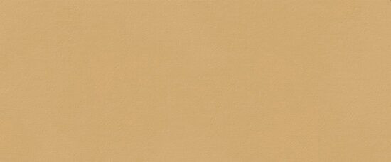 navara68339 TRUE COLOR CARAMEL MATT RT 50х120 (плитка настінна) fTDS