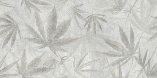 AMSTERDAM айворі Botanic 30х60 satin ASА151 (плитка настінна)