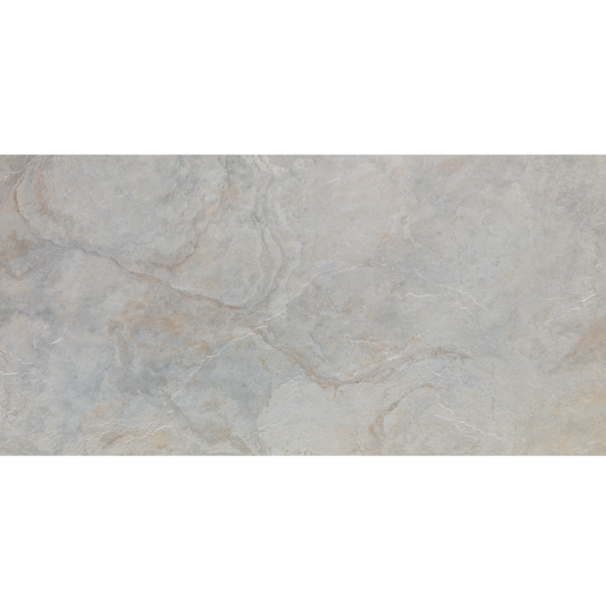 0497656001672842115.png Керамограніт Porcelanosa Image Silver (A) 59,6x120 см