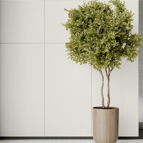 0895310001762264831.jpg GRES MONOLIGHT EXTERIOR WHITE RECT (1 сорт)