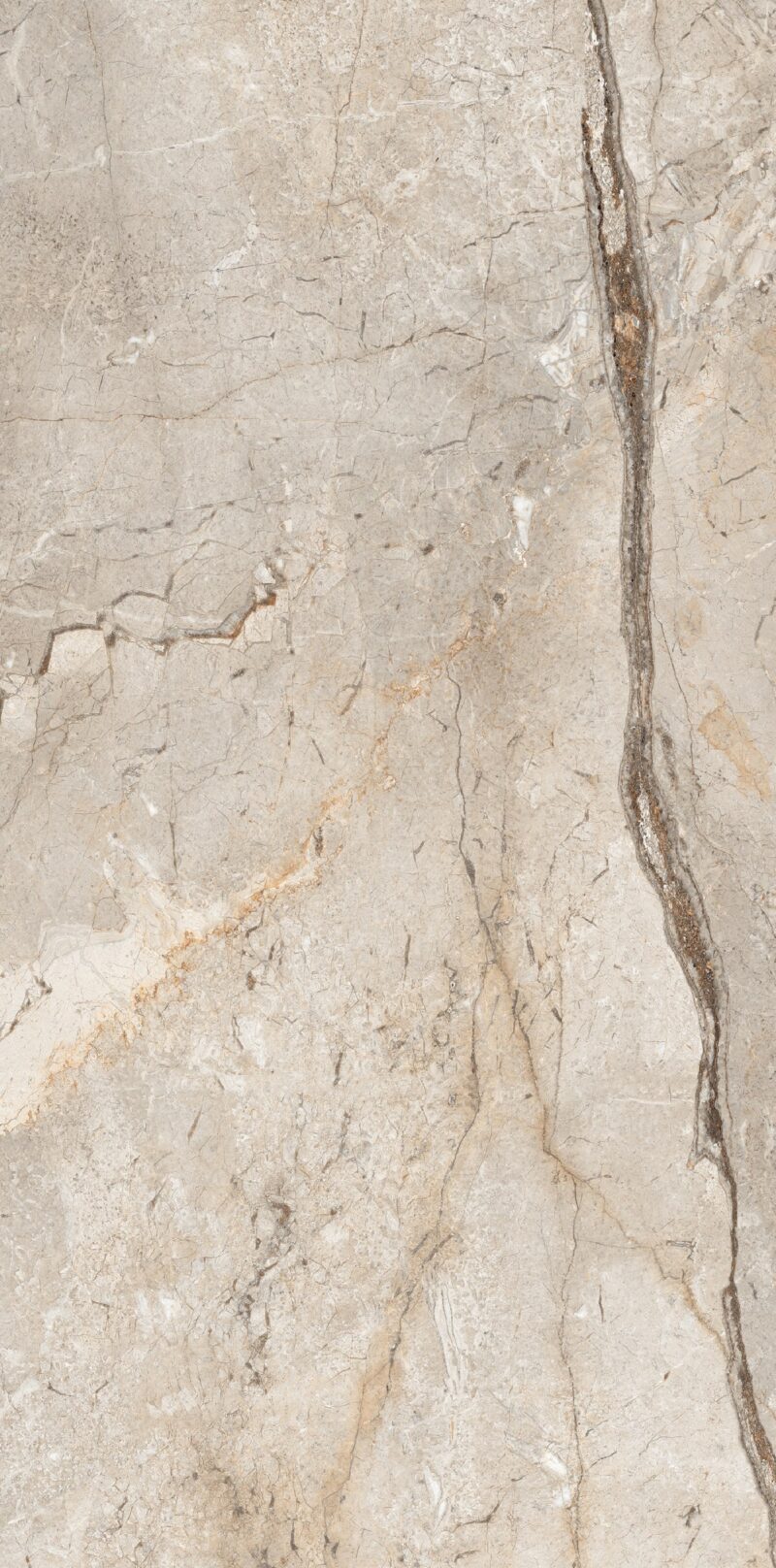 ant-086051-plitka-ua-2 Плита керамограніт 600*1200 мм Wild Forest Tan Matt Carving