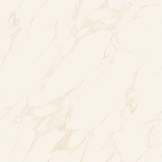 Marble Soluble Salt 60*60 підлога Asia Pacific
