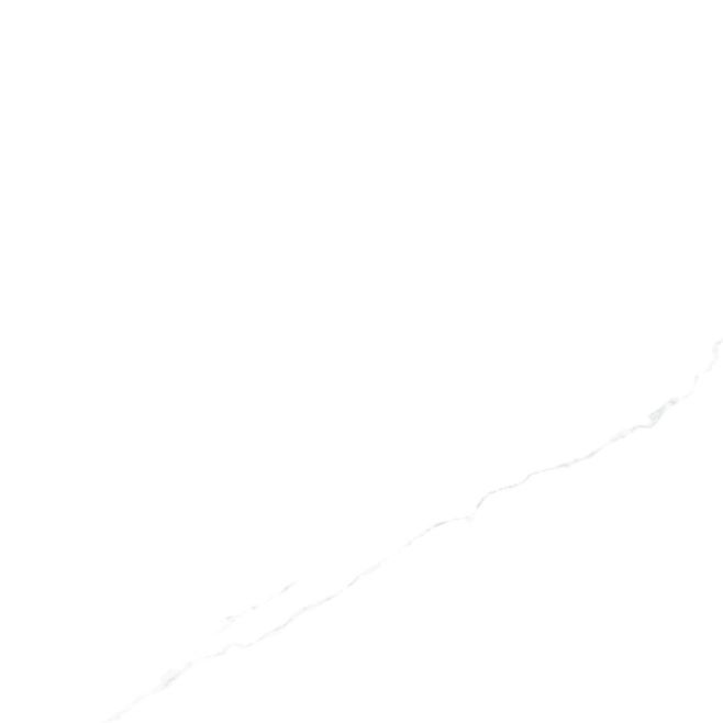lpr-000061258 Ess. Aire White Mate 60*120 підлога Prissmacer