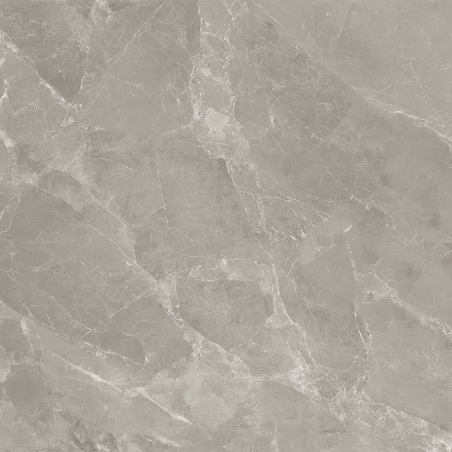 Terone Gris Matt 60*120 підлога Alice Tiles