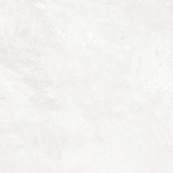 lvpro-000076110 Raizer Silver Matt 60*120 підлога Alice Tiles