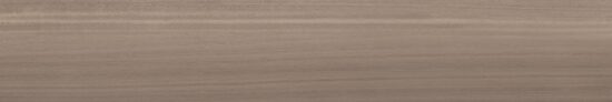 EUKALYPT MARRON 20x120 (плитка для підлоги і стін)