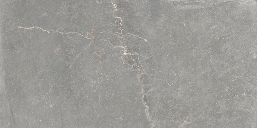 BLEUEMIX GREY 60x120 (плитка для підлоги і стін)